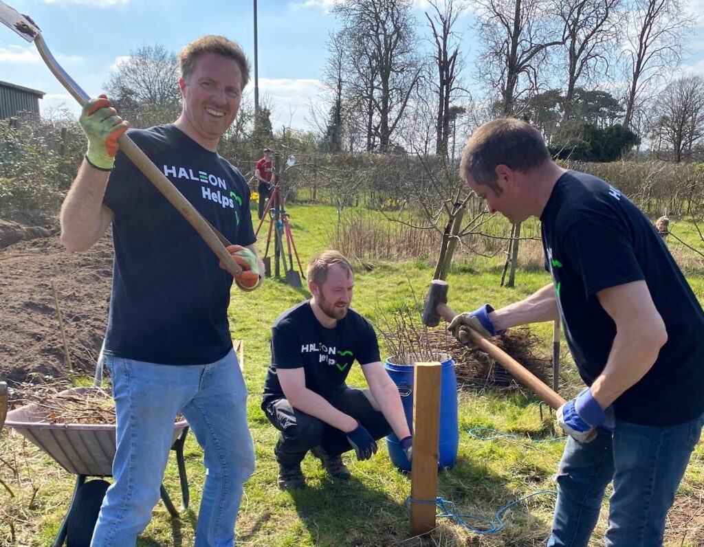 Haleon Helps at Cobham Community Garden